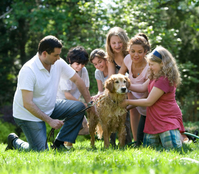 family-photography-04